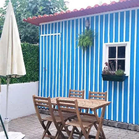 Bright Alcântara Escape With Ac